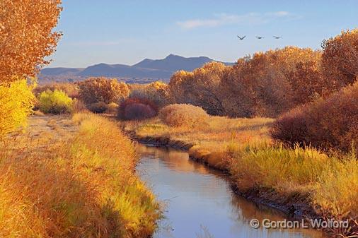 Bosque del Apache_73548.jpg - Photographed in the Bosque del Apache National Wildlife Refuge near San Antonio, New Mexico USA. 